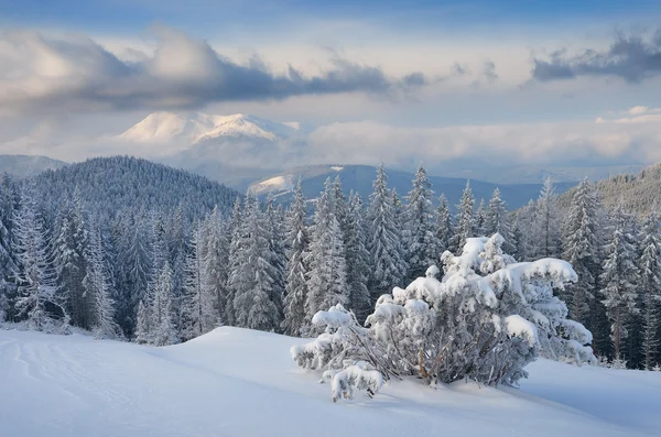 Paisaje invernal en las montañas — Foto de Stock