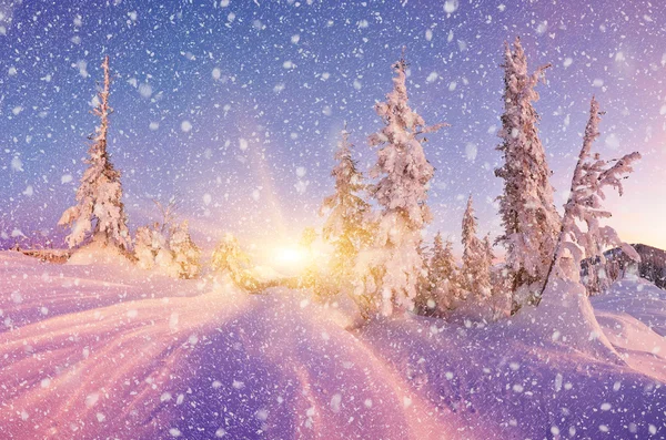 夕方の冬の風景 — ストック写真