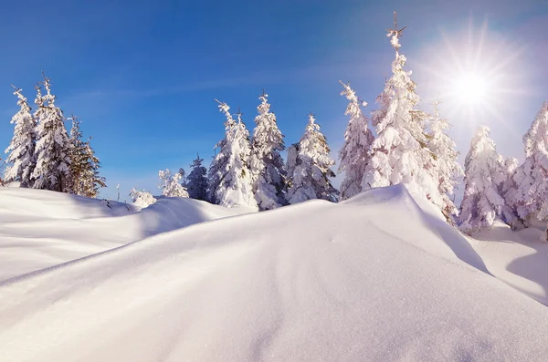 Zonnige winterlandschap — Stockfoto