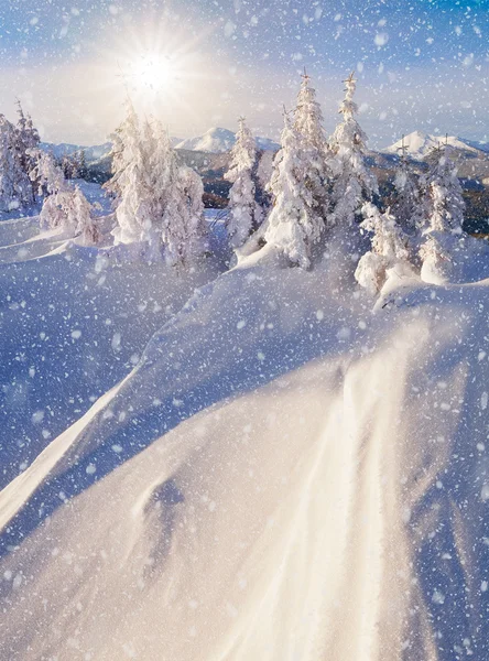 クリスマスの風景 — ストック写真