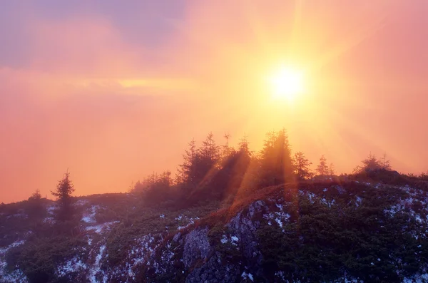 Red fog in the light of the sun — Stock Photo, Image