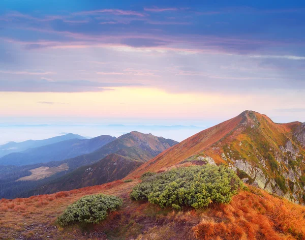 Paisaje de montaña al amanecer — Foto de Stock