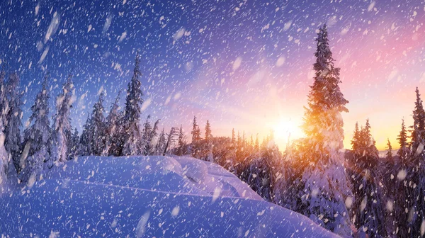 Panorama invernale delle montagne — Foto Stock