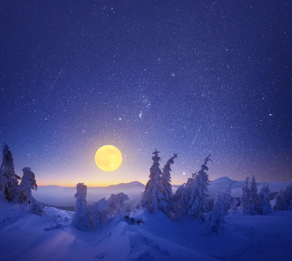 Paysage hivernal la nuit — Photo