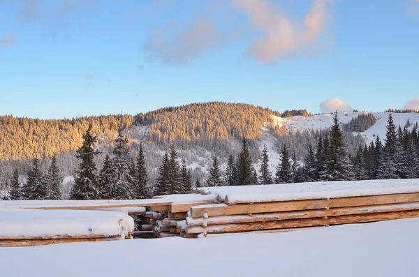 Winterlandschap — Stockfoto