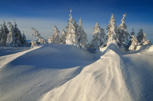 Vinterlandskap — Stockfoto