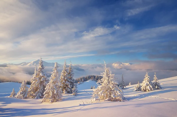 Christmas landscape in the mountains — Stock Photo, Image