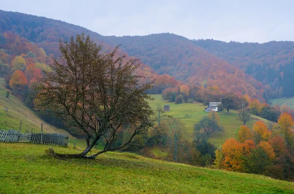 Podzim ve vesnici — Stock fotografie