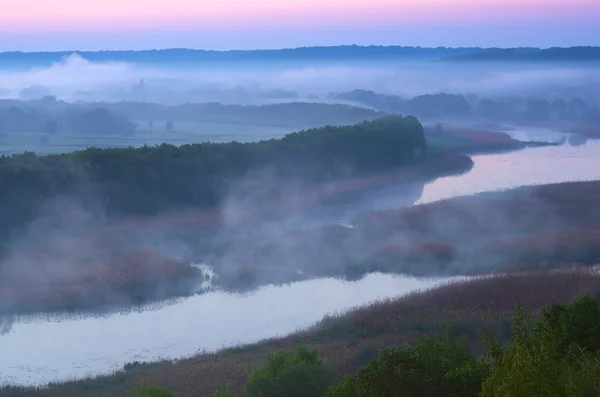 Morning on the river — Stock Photo, Image