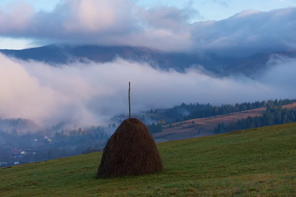 Haystack en el prado — Foto de Stock