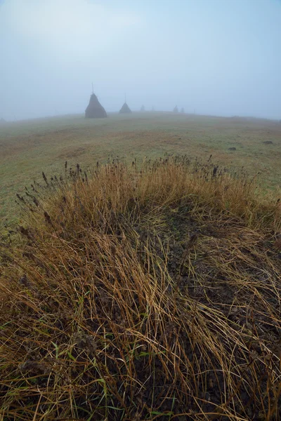 Haystacks in the fog — Stock Photo, Image