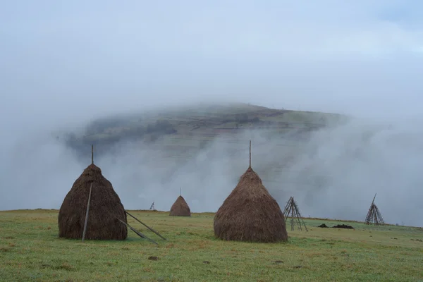 Haystacks in a mountain meadow — Stock Photo, Image