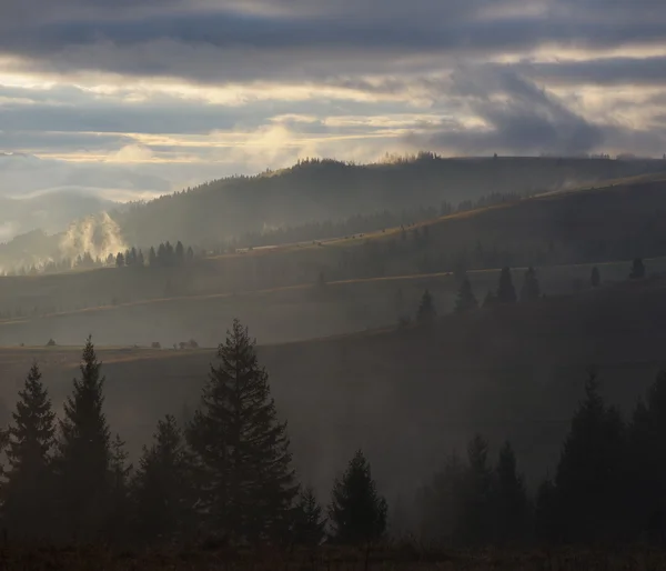 Nevoeiro matutino nas montanhas — Fotografia de Stock