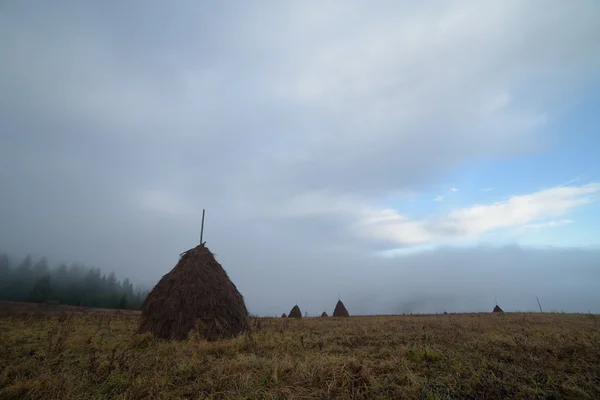 Haystacks в тумане — стоковое фото