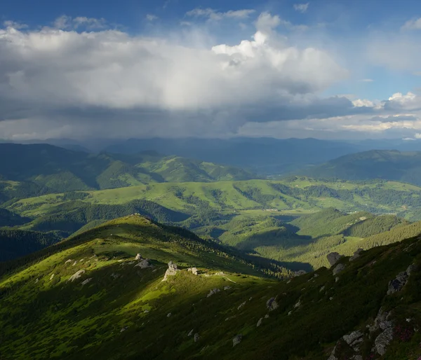 Schöne Sommerlandschaft — Stockfoto