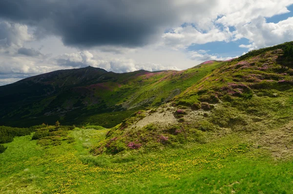 Sonniger Tag in den Bergen — Stockfoto