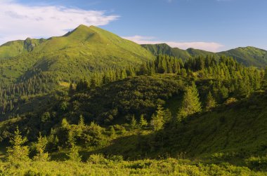Dağlarda yaz manzarası