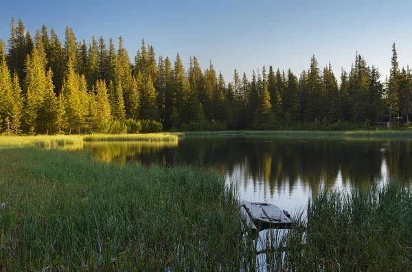 Jezioro Lasu — Zdjęcie stockowe