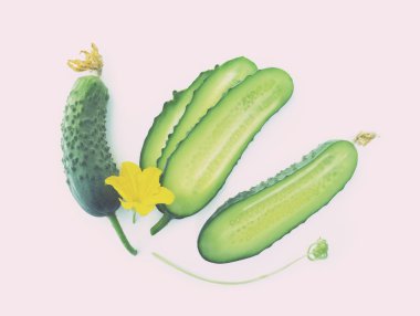 Fresh cucumbers on a white background. Color toning. Low contras
