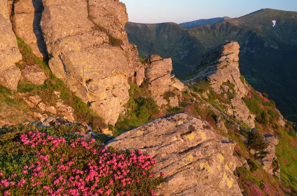 Rock in the mountains. Morning landscape — Zdjęcie stockowe