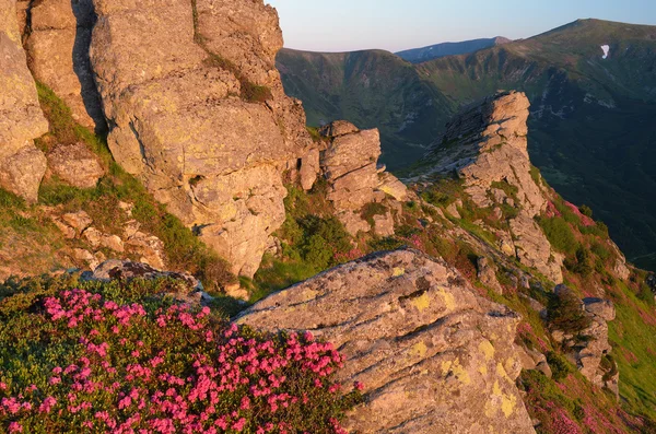 Rock in the mountains. Morning landscape — Stockfoto