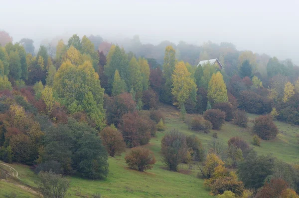 Herbstlandschaft in einem Bergdorf — Stockfoto