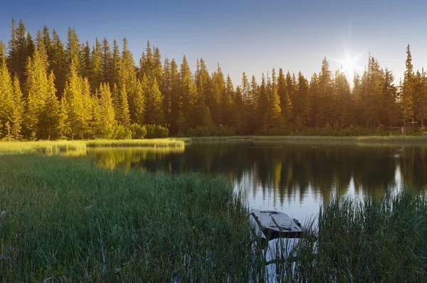 Lago da Floresta — Fotografia de Stock