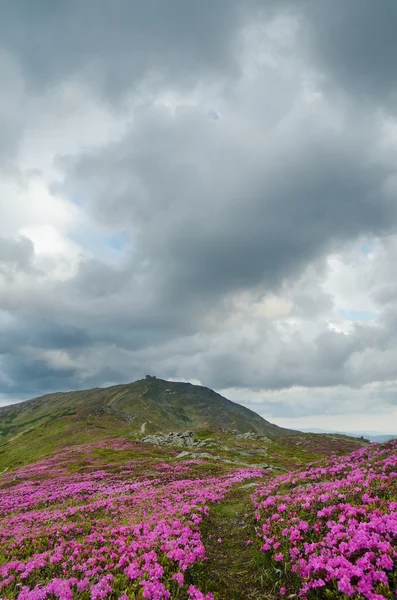 Observatoriet på toppen av Mount — Stockfoto