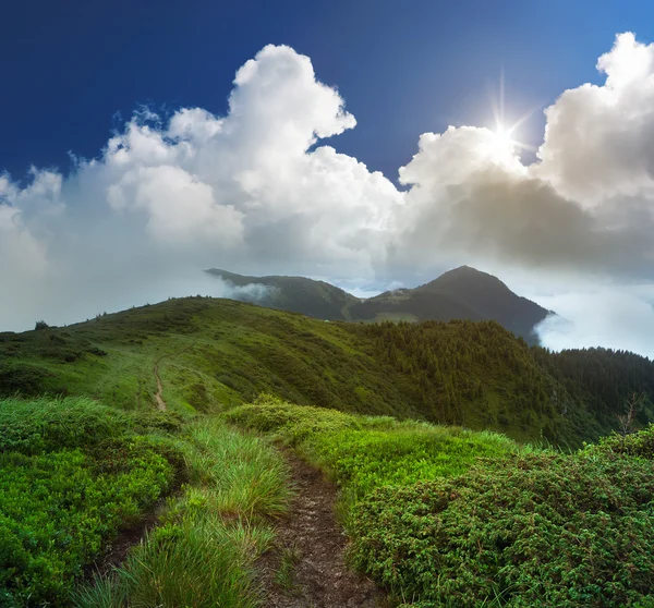 Zomer landschap in de bergen — Stockfoto