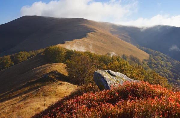 Paisaje otoñal con arándanos de piedra y arbusto — Foto de Stock