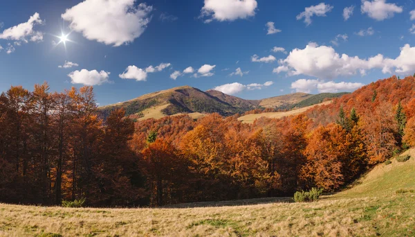 Осенний пейзаж в солнечный день — стоковое фото