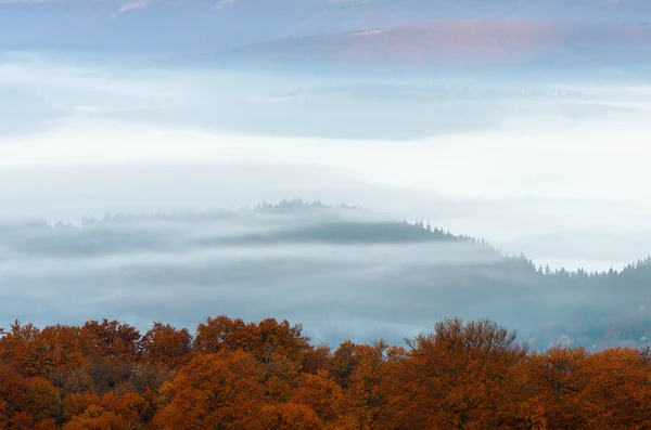 Fog in the mountains — Stock Photo, Image