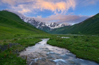 Dağ nehri ile yaz manzarası