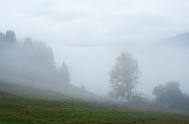 dağlar, sis, sonbahar yatay