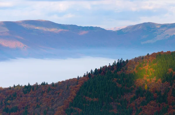 Autumn in the mountains — Stock Photo, Image