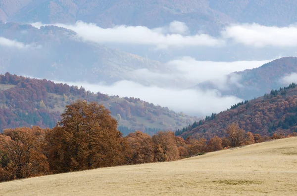 Outono Paisagem com nevoeiro nas montanhas — Fotografia de Stock