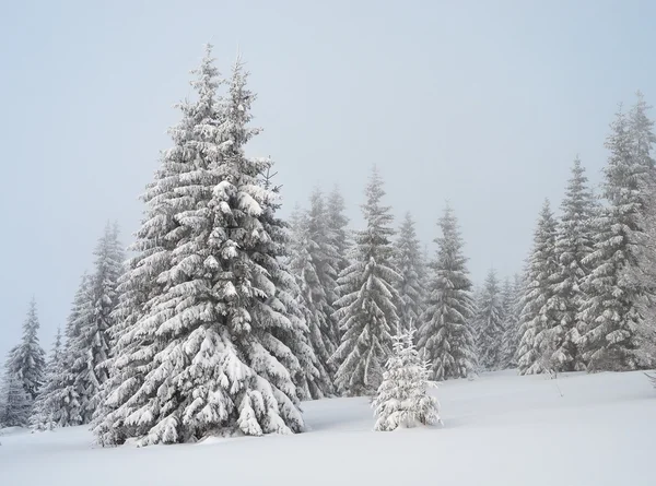 Paisagem de inverno um dia nublado — Fotografia de Stock