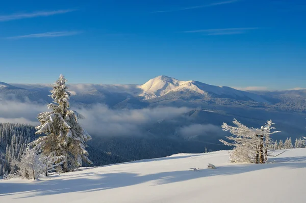 Hiver dans les montagnes — Photo