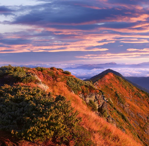 Berglandschaft am Morgen — Stockfoto