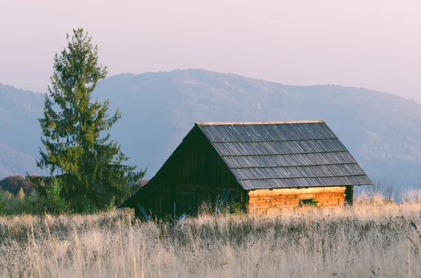 Verlassenes Holzhaus — Stockfoto