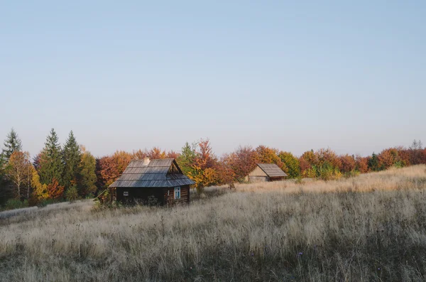 Holzhaus verlassen — Stockfoto