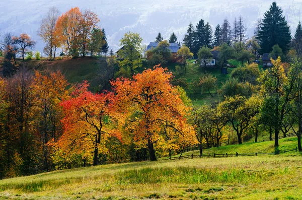 Осень в деревне — стоковое фото