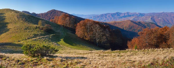 Herfst landschap in de ochtend — Stockfoto