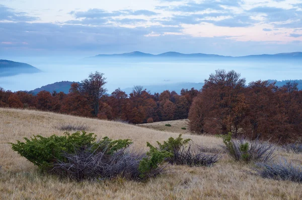 Crepúsculo da manhã nas montanhas — Fotografia de Stock