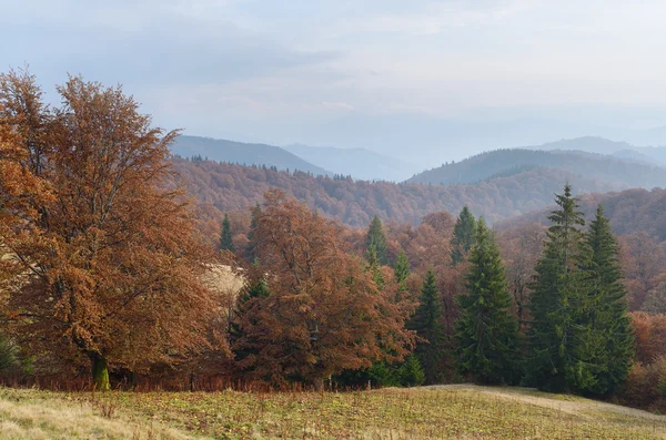 Осень и горы — стоковое фото