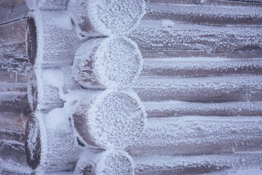 Günlük kabin Frost