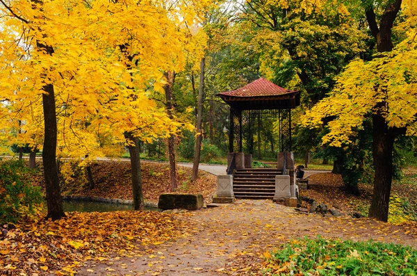 Dia de outono nublado no parque — Fotografia de Stock