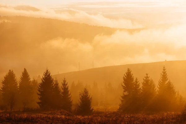 Colorful sunrise — Stock Photo, Image