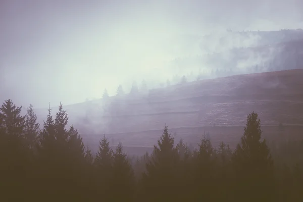 Morning fog on the mountain hills — Stock Photo, Image