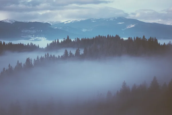 Winter landscape with fog — Stock Photo, Image